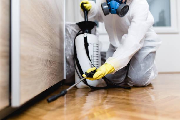 Best Emergency Pest Control  in Eddyville, IA