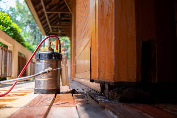 Best Best Pest Control Companies  in Eddyville, IA