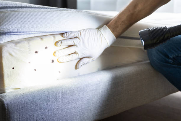 Pest Control for Restaurants in Eddyville, IA