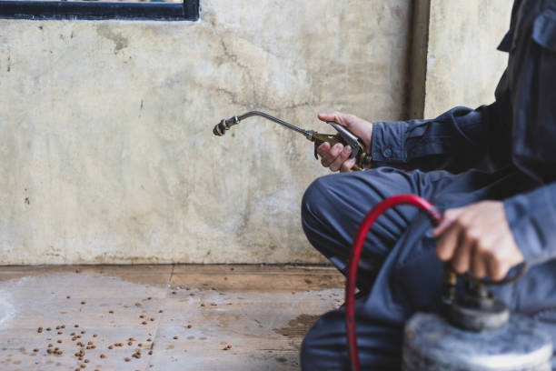 Best Pest Control for Homes  in Eddyville, IA